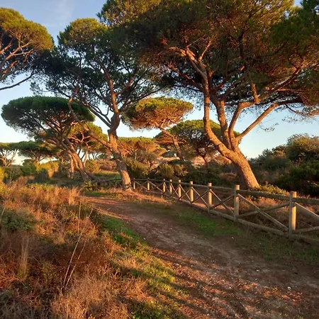 Paradise On The Nyaraló