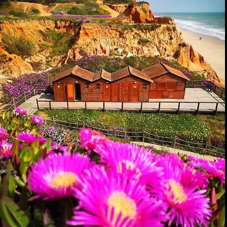 Σπίτι διακοπών Paradise On The Αλμπουφέιρα