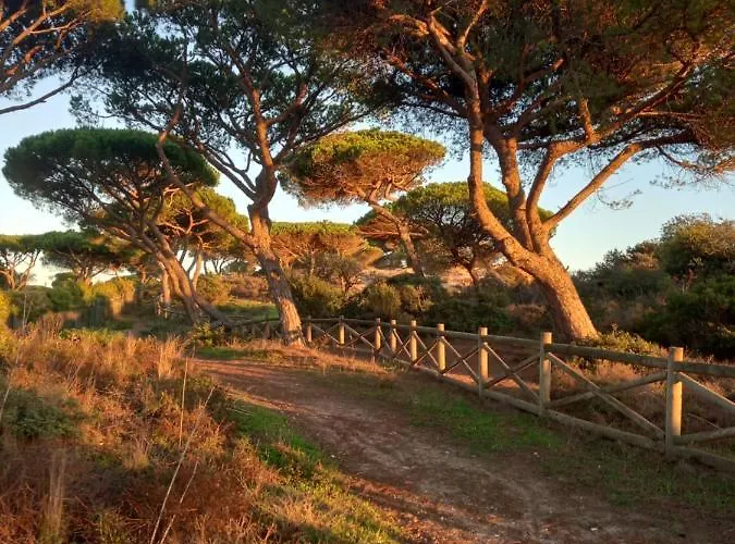 Paradise On The Nyaraló