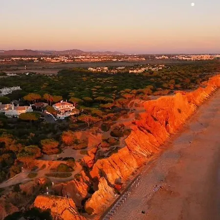 Paradise On The 度假居