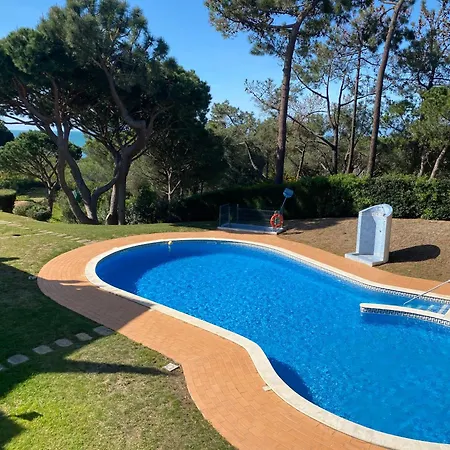 Paradise On The * 阿尔布费拉